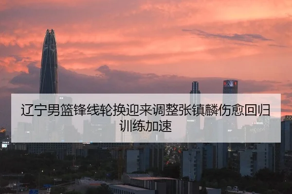 辽宁男篮锋线轮换迎来调整张镇麟伤愈回归训练加速